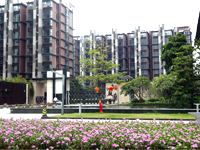 中惠卡麗蘭