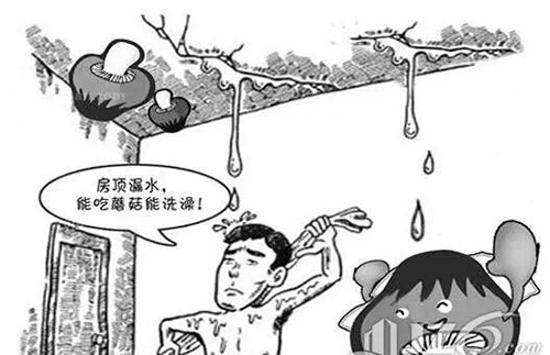 房屋漏水該找誰：樓上鄰居？開發(fā)商？還是找物業(yè)？