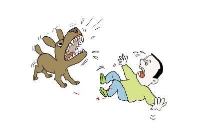 小區(qū)寵物傷人誰埋單？